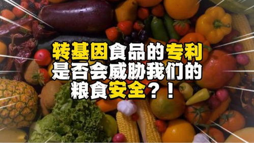 转基因食品的专利是否会威胁到我们的粮食安全